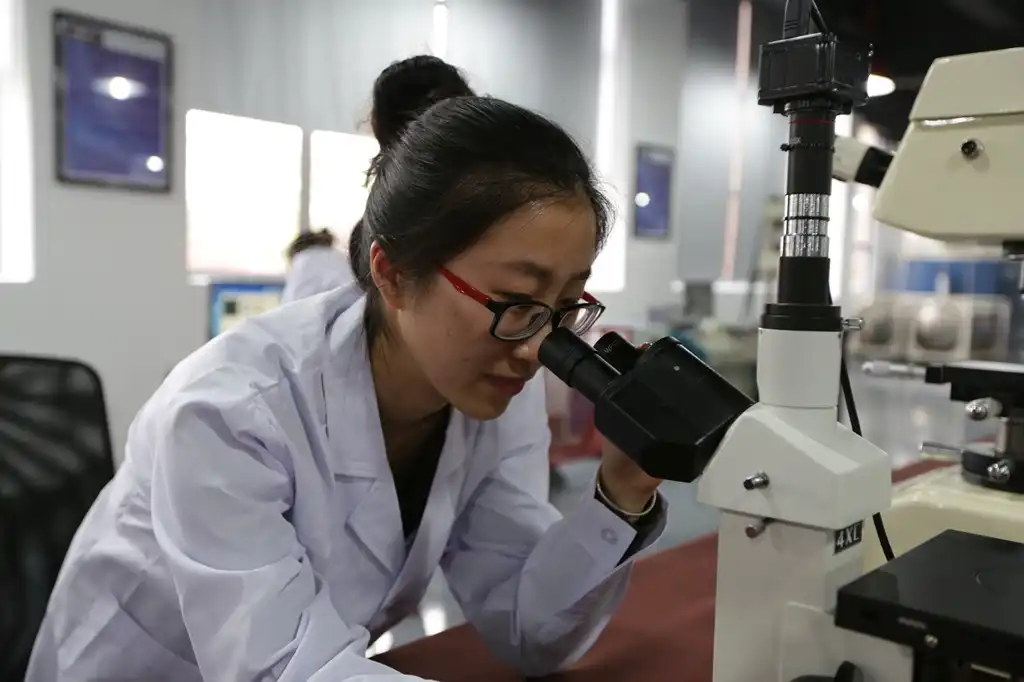 Electric Butterfly Valve China vs Europe Price Comparison